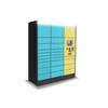 Entrega de última milla Smart WIFI/GSM Parcel Locker con pantalla táctil